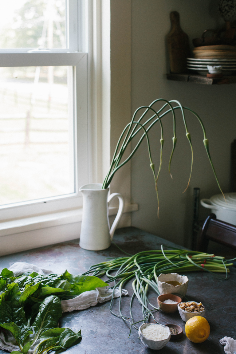 Garlic Scape Swiss Chard Pesto (on Grilled Cheese) - A Daily Something